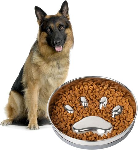 وعاء تغذية بطيء للكلاب من كيتجو مصنوع من الفولاذ المقاوم للصدأ مع قاعدة من السيليكون غير قابلة للانزلاق، وعاء ماء للكلاب مناسب لسلالات الكلاب الصغيرة والمتوسطة، وعاء على شكل مخلب كلب in Kuwait