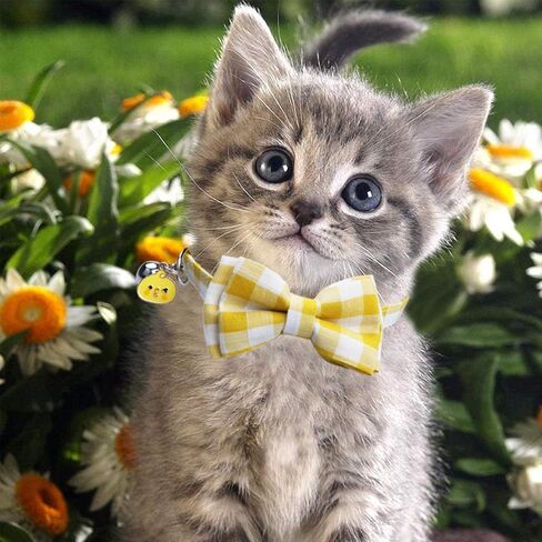 STMK 2 Pack Easter Cat Collars with Bow Tie Bell, Breakaway Adjustable Cat Kitten Collars with Bowtie Bell for Cats Kittens (Bunny & Easter Chick) in Saudi Arabia