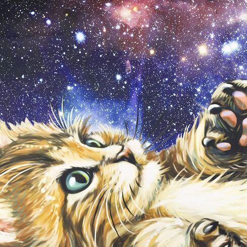 LB Funny Cat Butterfly Tapestry, Neblua Galaxy Starry Night Sky Wall Tapestry for Bedroom, Kittee Teal Butterfly Wall Hanging Tapestry Fantasy Wall Art for Living Room Dorm Home Decor,48 x 36 Inches in Kuwait