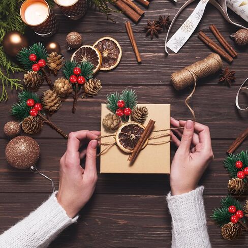 Red Berry Stems Faux Christmas Tree Picks - Pine Cones and Holly Sprigs for Crafts, 48 Pieces (Cute) in Saudi Arabia
