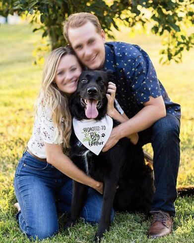 NTKIO Funny White Flower Pattern Plaid Cotton Pet Dog Bandana, Promoted to Big Brother, Pet Dog Pregnancy Announcement Gender Reveal Photo Prop Triangle Bibs Accessories for Dog Lovers Owner Gift in Kuwait