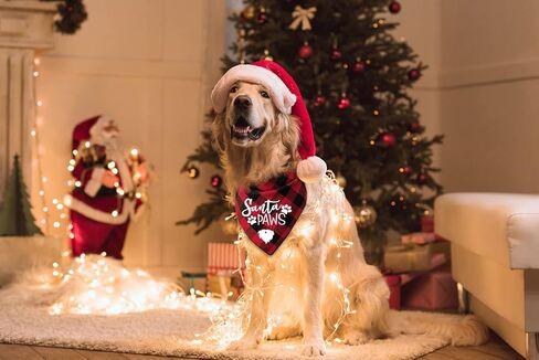 YHTWIN عيد ميلاد سعيد سانتا الكفوف الأحمر منقوشة كلب باندانا مثلث وشاح المرايل للحيوانات الأليفة جرو الكلب عيد ميلاد سعيد عيد الميلاد عطلة حزب الملحقات الدعائم الديكور هدية in Kuwait