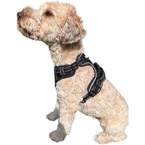 ROOSK Dog Harness | No-Pull, Reflective, 4-Way Adjustable w/Poop Bag Holder | Ultimate Comfort, Soft, Padded Waterproof Oxford w/Airmesh | 2 Leash Clips (Green, Medium) in Saudi Arabia