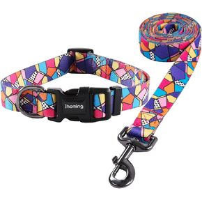 Ihoming Puppy Collar and Leash Set for Daily Outdoor Walking Running Training, Space Design for Extra Small Boys Girls Dogs Cats Pets, XS-Up to 10LBS in Kuwait