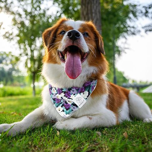 مجموعة عصابات رأس E-Clover للكلاب وعصابة رأس متطابقة من هاواي دوج باندانا وشاح مرايل مع عصابات رأس على شكل فيونكة للكلاب المتوسطة والكبيرة والمالك in Kuwait