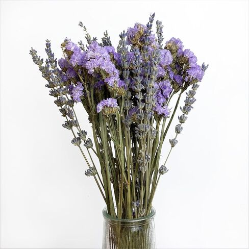 L'BREVOGA Dried Flower Spray Rose Bouquets, 2 Bunches 100% Natural Flowers, Miniature Roses with Baby’s Breath for Decoration Home Party (Spray Rose) in Saudi Arabia
