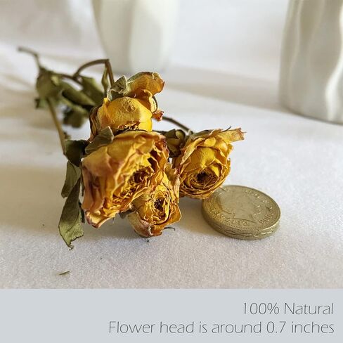 L'BREVOGA Dried Flower Spray Rose Bouquets, 2 Bunches 100% Natural Flowers, Miniature Roses with Baby’s Breath for Decoration Home Party (Spray Rose) in Saudi Arabia