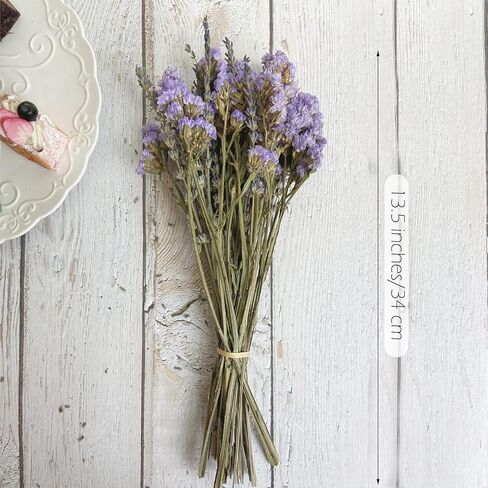 L'BREVOGA Dried Flower Spray Rose Bouquets, 2 Bunches 100% Natural Flowers, Miniature Roses with Baby’s Breath for Decoration Home Party (Spray Rose) in Saudi Arabia