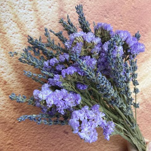 L'BREVOGA Dried Flower Spray Rose Bouquets, 2 Bunches 100% Natural Flowers, Miniature Roses with Baby’s Breath for Decoration Home Party (Spray Rose) in Saudi Arabia