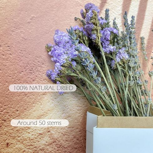 L'BREVOGA Dried Flower Spray Rose Bouquets, 2 Bunches 100% Natural Flowers, Miniature Roses with Baby’s Breath for Decoration Home Party (Spray Rose) in Saudi Arabia