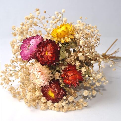 L'BREVOGA Dried Flower Spray Rose Bouquets, 2 Bunches 100% Natural Flowers, Miniature Roses with Baby’s Breath for Decoration Home Party (Spray Rose) in Saudi Arabia