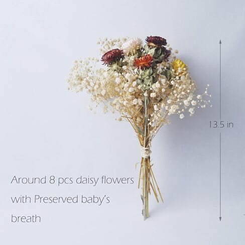 L'BREVOGA Dried Flower Spray Rose Bouquets, 2 Bunches 100% Natural Flowers, Miniature Roses with Baby’s Breath for Decoration Home Party (Spray Rose) in Saudi Arabia