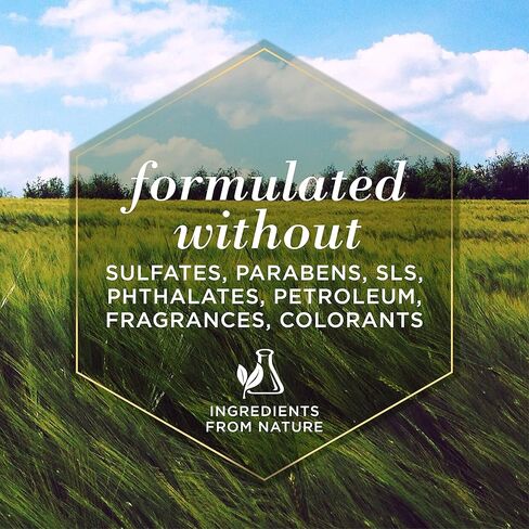 شامبو بيرت بيز للحيوانات الأليفة والجراء الطبيعي واللطيف بدون دموع | مصنوع من اللبن والعسل | شامبو جرو بلا دموع للبشرة اللطيفة والمعطف | درجة حموضة متوازنة للكلاب - صنع في الولايات المتحدة الأمريكية، 16 أونصة، عبوة من قطعتين in Kuwait