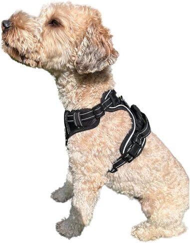 ROOSK Dog Harness | No-Pull, Reflective, 4-Way Adjustable w/Poop Bag Holder | Ultimate Comfort, Soft, Padded Waterproof Oxford w/Airmesh | 2 Leash Clips (Green, Medium) in Saudi Arabia
