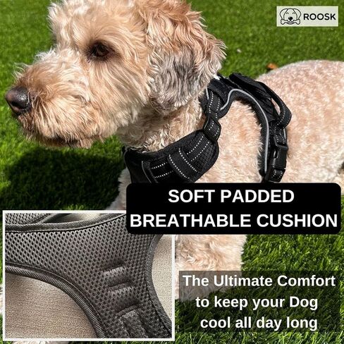 ROOSK Dog Harness | No-Pull, Reflective, 4-Way Adjustable w/Poop Bag Holder | Ultimate Comfort, Soft, Padded Waterproof Oxford w/Airmesh | 2 Leash Clips (Green, Medium) in Saudi Arabia
