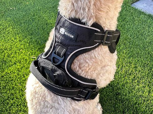 ROOSK Dog Harness | No-Pull, Reflective, 4-Way Adjustable w/Poop Bag Holder | Ultimate Comfort, Soft, Padded Waterproof Oxford w/Airmesh | 2 Leash Clips (Green, Medium) in Saudi Arabia
