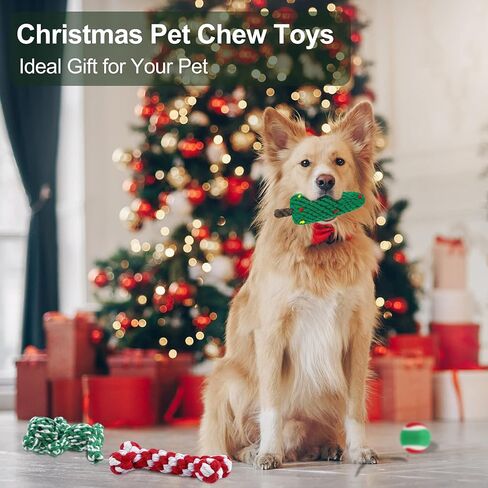 Pedgot 6 قطع عيد الميلاد الكلب مضغ لعبة الكلب حبل اللعب حلوى قصب الحيوانات الأليفة مضغ اللعب مضغ التدريب اللعب أنماط متنوعة للكلاب الصغيرة والمتوسطة الكبيرة in Kuwait