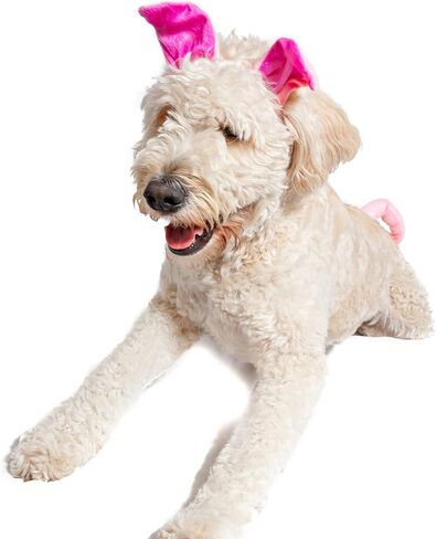 Midlee Dog Pig Halloween Headband Costume with Tail- Large in Saudi Arabia