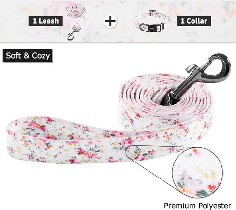 Ihoming Puppy Collar and Leash Set for Daily Outdoor Walking Running Training, Space Design for Extra Small Boys Girls Dogs Cats Pets, XS-Up to 10LBS in Saudi Arabia