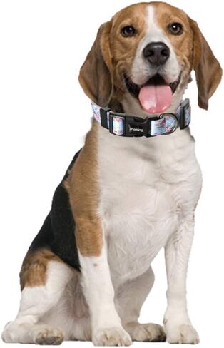 Ihoming Puppy Collar and Leash Set for Daily Outdoor Walking Running Training, Space Design for Extra Small Boys Girls Dogs Cats Pets, XS-Up to 10LBS in Saudi Arabia