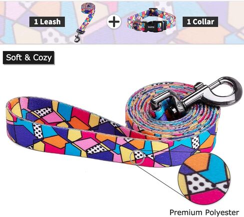 Ihoming Puppy Collar and Leash Set for Daily Outdoor Walking Running Training, Space Design for Extra Small Boys Girls Dogs Cats Pets, XS-Up to 10LBS in Kuwait