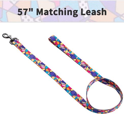 Ihoming Puppy Collar and Leash Set for Daily Outdoor Walking Running Training, Space Design for Extra Small Boys Girls Dogs Cats Pets, XS-Up to 10LBS in Kuwait