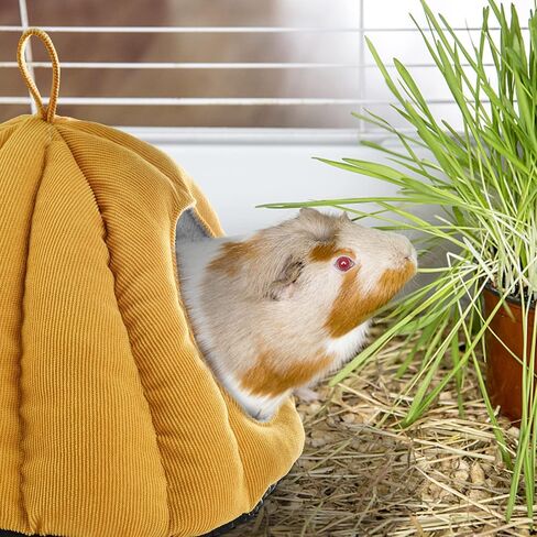 Vehomy Guinea Pig Bed Warm Guinea Pig Hideout with Corduroy Fabric and Cozy Pillow Pumpkin Shaped Small Pet Sleeping Bed for Sugar Gliders Hamsters Hedgehogs Ferrets and Other Small Animals in Saudi Arabia
