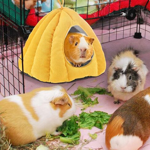 Vehomy Guinea Pig Bed Warm Guinea Pig Hideout with Corduroy Fabric and Cozy Pillow Pumpkin Shaped Small Pet Sleeping Bed for Sugar Gliders Hamsters Hedgehogs Ferrets and Other Small Animals in Saudi Arabia