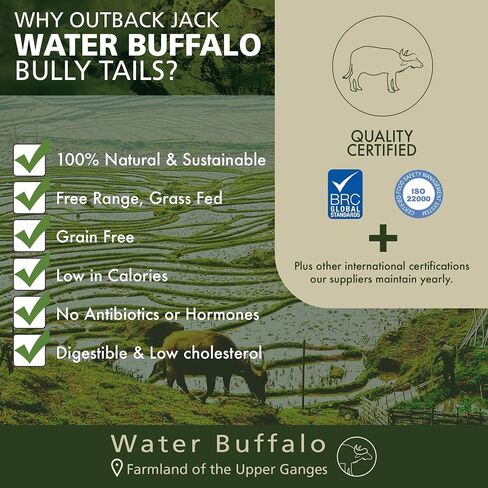 Outback Jack Water Buffalo Tails With Jerky 100% Natural Dog Treats ( 3 Pack) in Saudi Arabia