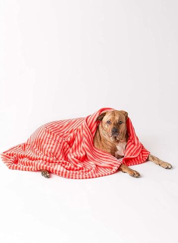 بطانية للحيوانات الأليفة مصنوعة من الألياف الدقيقة أحادية اللون مخططة على شكل عظمة جافة، مقاس 36 × 48 بوصة، باللون الأحمر in Kuwait