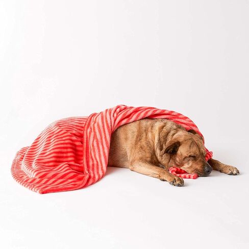 بطانية للحيوانات الأليفة مصنوعة من الألياف الدقيقة أحادية اللون مخططة على شكل عظمة جافة، مقاس 36 × 48 بوصة، باللون الأحمر in Kuwait