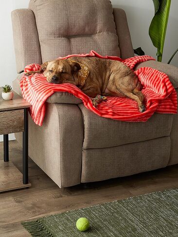 بطانية للحيوانات الأليفة مصنوعة من الألياف الدقيقة أحادية اللون مخططة على شكل عظمة جافة، مقاس 36 × 48 بوصة، باللون الأحمر in Kuwait