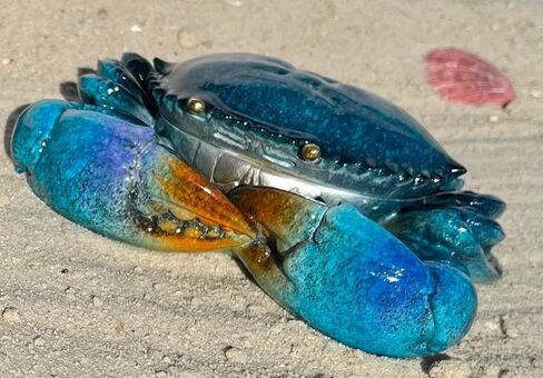 Top Brass Decorative Blue Crab Trinket Box Jewelry Secret Storage Compartment - Coastal Figurine - Beach Ocean Decor in Saudi Arabia