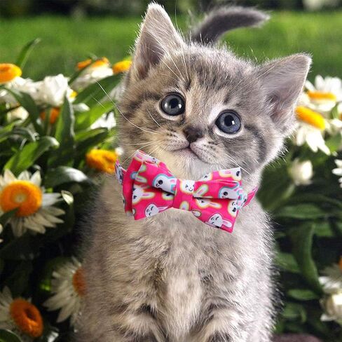 STMK 2 Pack Easter Cat Collars with Bow Tie Bell, Breakaway Adjustable Cat Kitten Collars with Bowtie Bell for Cats Kittens (Bunny & Easter Chick) in Saudi Arabia