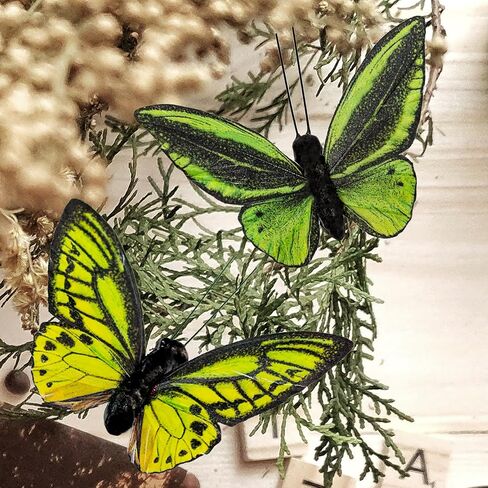 مجموعة ديكورات فراشات ريش الربيع من YCHTEWY، 6 ألوان من 12 قطعة من الفراشات اليدوية متعددة الألوان النابضة بالحياة على المشبك. ديكور منزلي للحفلات وصور الزهور... in Kuwait