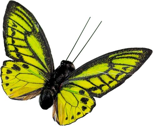 مجموعة ديكورات فراشات ريش الربيع من YCHTEWY، 6 ألوان من 12 قطعة من الفراشات اليدوية متعددة الألوان النابضة بالحياة على المشبك. ديكور منزلي للحفلات وصور الزهور... in Kuwait