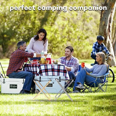 Portable Folding Stool for Adults, Collapsible Camping Chair with Carry Bag, Lightweight Outdoor Seat, Offer Safety and Durability for Rest, Travel, Fishing, Hunting, Gardening (Golden) in Saudi Arabia