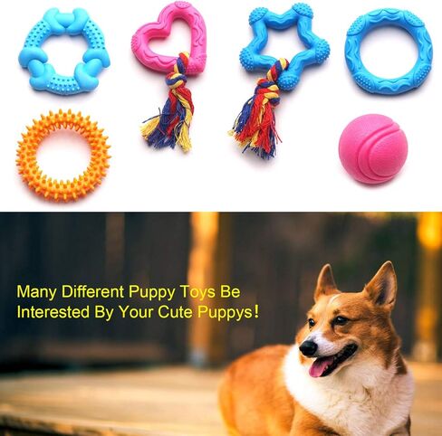 لعبة تسنين الكلاب 20 عبوة من كرة مطاطية للشد والسحب تصدر صوت صرير من يونكدوم، ألعاب مضغ متينة للكلاب والجراء الصغيرة in Kuwait