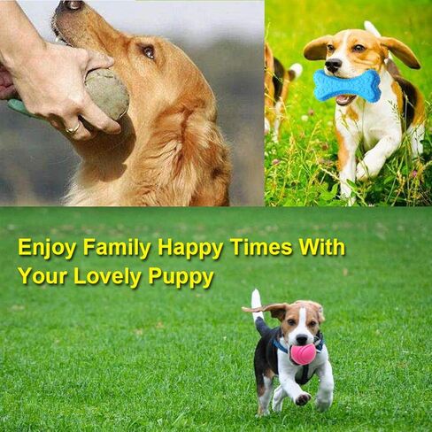 لعبة تسنين الكلاب 20 عبوة من كرة مطاطية للشد والسحب تصدر صوت صرير من يونكدوم، ألعاب مضغ متينة للكلاب والجراء الصغيرة in Kuwait