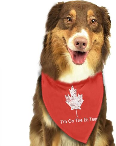 وشاح للكلاب الكندية مطبوع عليه I'm On The Eh Team Canada، وشاح مثلث للكلاب الصغيرة والمتوسطة والكبيرة والقطط والحيوانات الأليفة in Kuwait