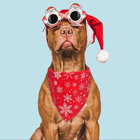 مناديل عيد الميلاد للكلاب - قطعتان من وشاح الكلب لشجرة عيد الميلاد ورجل خبز الزنجبيل للصبي والفتاة، باندانا لعيد الميلاد للكلاب للكلاب المتوسطة والكبيرة (A-1) in Kuwait