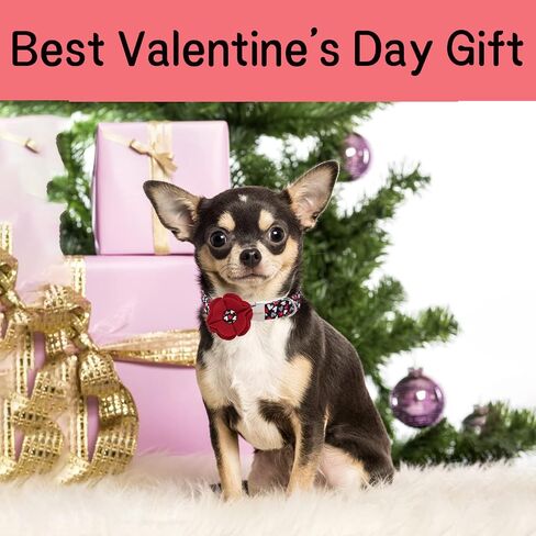 Unique style paws Dog Collar with Removable Felt Flower Tie Winter Christmas Plaid Pet Collar Girl Boy for Small Medium Large Dogs-Scottish Style-XS in Saudi Arabia