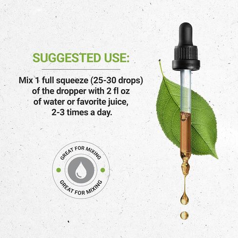 Cascara Sagrada Tincture Alcohol-Free Liquid Extract, Responsibly farmed Made Cascara Sagrada (Frangula purshiana) Dried Bark (2 FL OZ) in Saudi Arabia