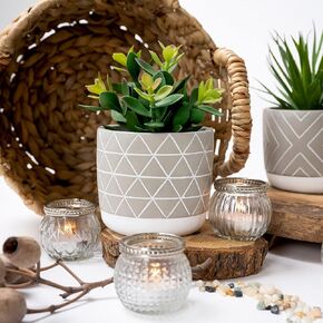 Kurrajong Farmhouse Artificial Plant | 8" Fake Plant for Desk Decor | Artificial Succulent in Pot | Fake Succulent | Faux Plant Indoor | Succulent Plant Artificial | Faux Succulent for Shelf Decor in Kuwait