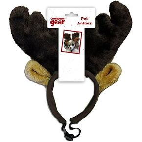 كومبانيون جير 70051 قرون الحيوانات الأليفة للعطلات، متوسطة/كبيرة in Kuwait