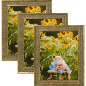 Frametory، مجموعة من 2، إطار صورة مزخرف مقاس 11 × 14 مع حصيرة لون أبيض لصورة مقاس 8 × 10 وزجاج حقيقي، لون ذهبي متعثر
