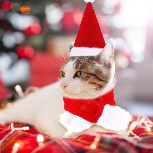6 Pieces Cat Christmas Clothes Christmas Cat Costume Dog Xmas Clothes Set Dog Cat Santa Hat with Scarf Christmas Costume Green Elf Outfit for Puppy Kitten Small Cats Dogs Pets in Saudi Arabia