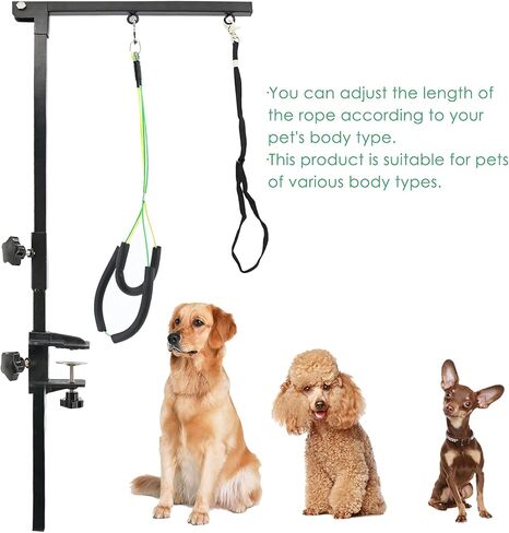 بيتيرويت ذراع تمشيط الكلاب مع مشبك قابل للطي، ذراع طاولة للعناية بالكلاب قابل للطي مع حلقة حبل مشقوق، حامل بدون جالس، اداة تجميل للحيوانات الاليفة متوسطة وصغيرة الحجم in Kuwait