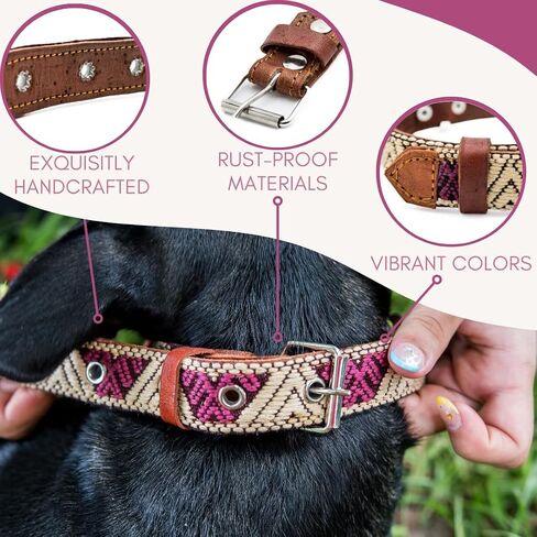Western Dog Collar - Leather Embroidered Design for Small Medium Large Dogs Puppy Pets - Aztec Southwest for Boy and Girl Female & Male Dogs - Collar para Perros Beaded (Medium, Baja White) in Saudi Arabia