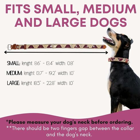 Western Dog Collar - Leather Embroidered Design for Small Medium Large Dogs Puppy Pets - Aztec Southwest for Boy and Girl Female & Male Dogs - Collar para Perros Beaded (Medium, Baja White) in Saudi Arabia